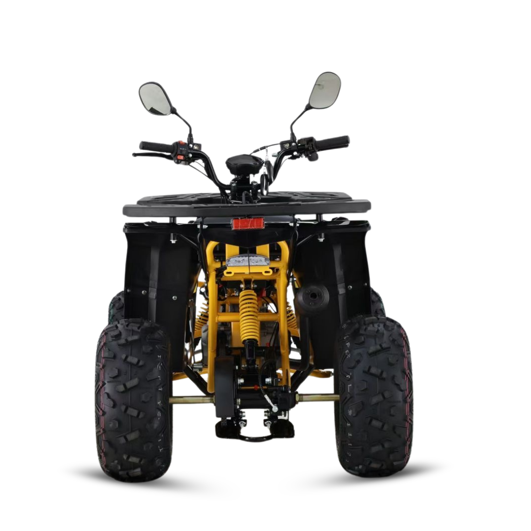 BITU 125 PNG (7) – BITU MOTORS